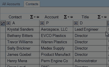 Clear Filters in Filter Row
