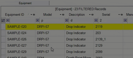 Clear Filters in Filter Row