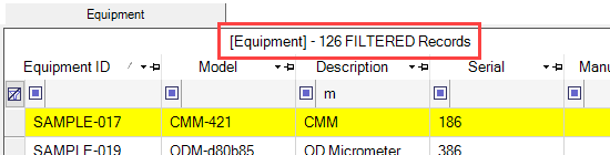 Grid Filtered Records