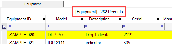 Grid Record Count